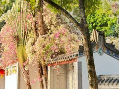 -深圳国际园林花卉博览园