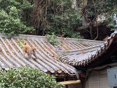 -黔灵山公园