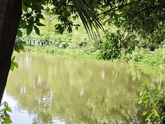 -南宁良凤江国家森林公园