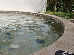 -汤山一号温泉度假区
