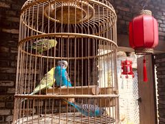 -鱼桥巷·美学川菜