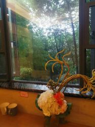 点击看大图 -金芙美月子中心(财富别墅店)