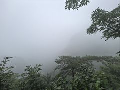 -大连天门山国家森林公园