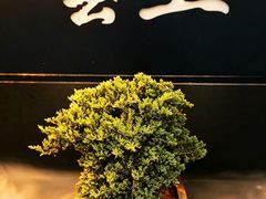 -雲上錢屋·地标景观(上海中心店)