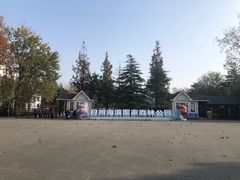 -日照海滨国家森林公园