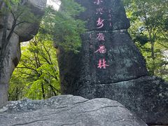 -汤旺河林海奇石景区