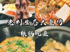 -老刘生态大鱼坊铁锅炖鱼(赛马场店)