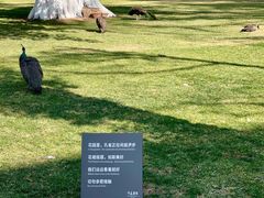 -西昌邛海宾馆