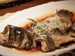 清蒸龙胆鱼-紫阳海鲜楼·传承闽味(长乐路总店)