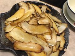 -蘑统田下·野生菌火锅