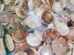 -鑫渔港海鲜本地菜·山海关浑锅(东戴河店)