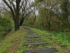 -西溪国家湿地公园