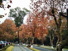 -四川大学(望江校区)