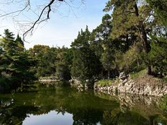 -叶家花园