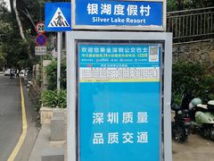 -银湖山郊野公园-相思林