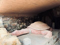 -上海佘山国家森林公园天马山园