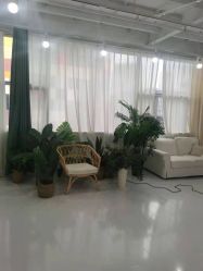 点击看大图 -小阿福儿童摄影(华中智谷店)