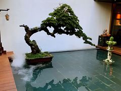 -觀芷隐轩