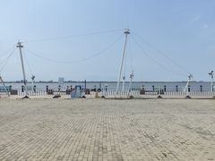 -呼兰河口湿地公园