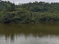 -滴水岩森林公园