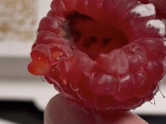 -美丽心情蛋糕(江苏路店)