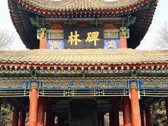 -西安碑林博物馆