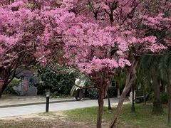 -南溪山景区