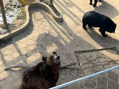 -无锡动物园·太湖欢乐园