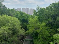 -北山公园