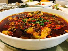 -听涛雅苑百味饺子老家菜馆