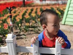 -廊坊文化艺术中心