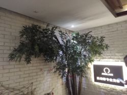 -米莱 Hair Salon 美髮