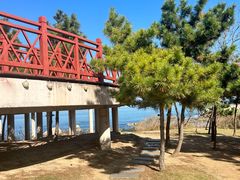 -养马岛旅游度假区