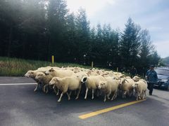 -扁都口生态休闲旅游区