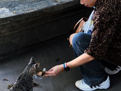 -西园寺素食(西园弄戒幢律寺店)