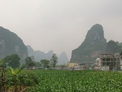 -明仕田园