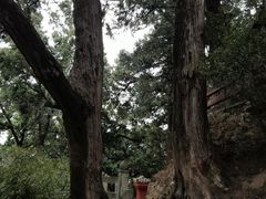 -七曲山风景区