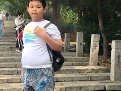 -府君山公园