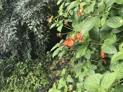 -蝴蝶泉公园