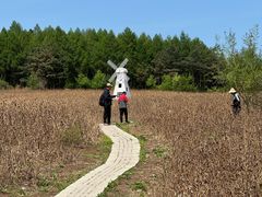 -帽儿山国家森林公园