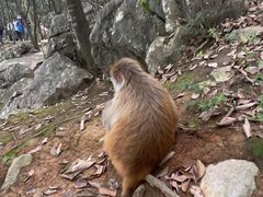 -千岛湖东南湖区