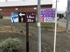 -富田农场