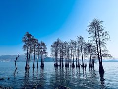-大理洱海