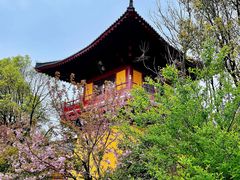 -溱湖国家湿地公园