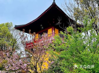 【三面药师佛塔最震撼人心】