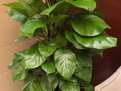 -世贸万锦大酒店·江南春中餐