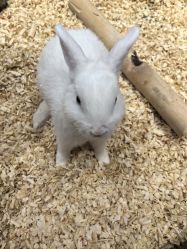 -Zoolung Zoolung动物主题公园(海信广场店)