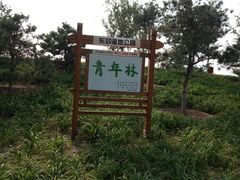 -东郊湿地公园