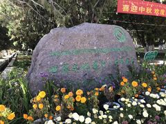 -罗布林卡