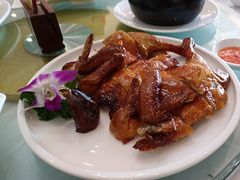 -泉龙渔村·粤式早茶·金牌烧鹅(中山三乡店)